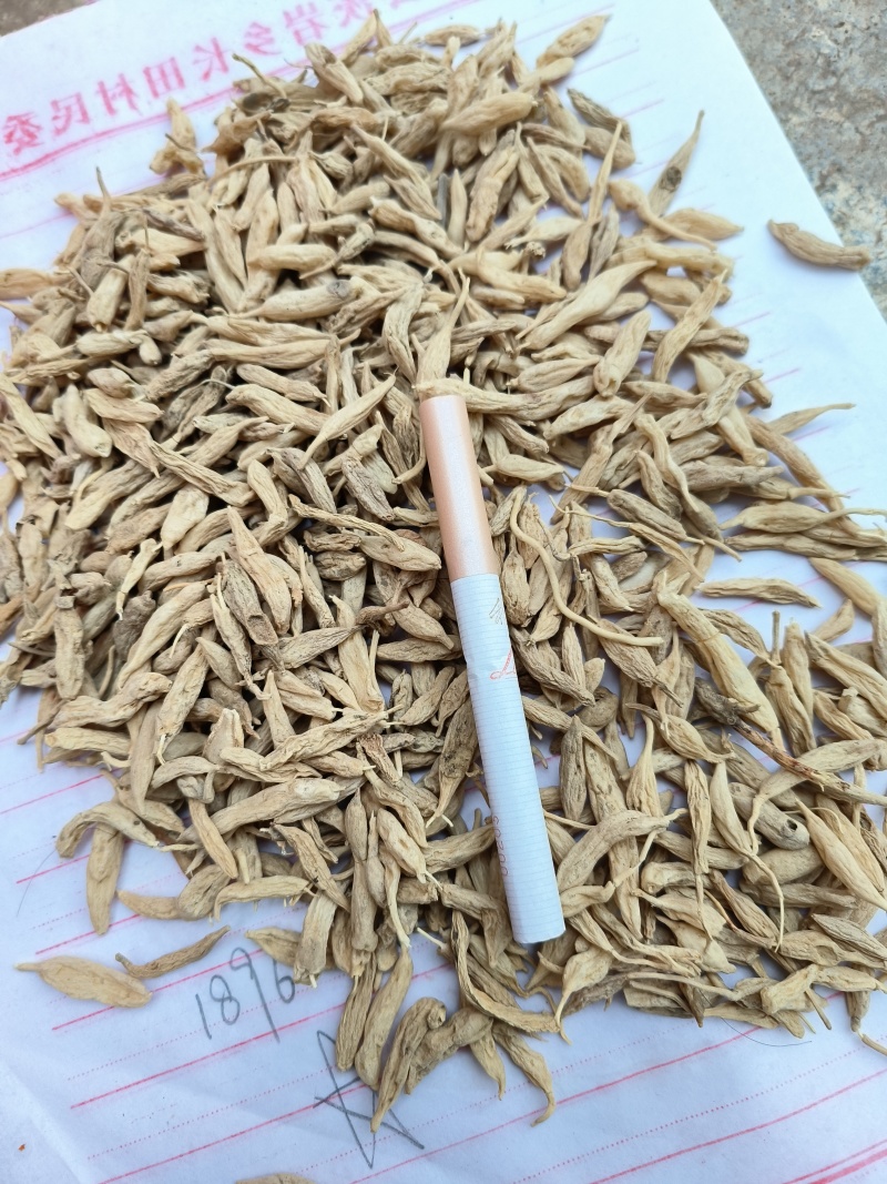 麦冬干货上货了都是农户挖来的野生麦冬漂亮干货