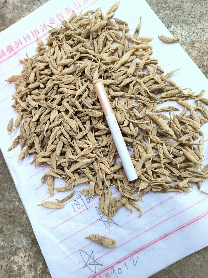 麦冬干货上货了都是农户挖来的野生麦冬漂亮干货
