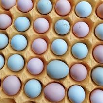 散养土鸡蛋，粉绿壳土鸡蛋，自家养殖