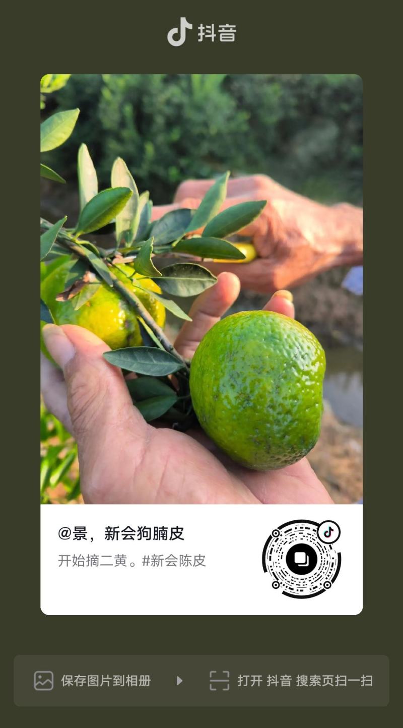 小青柑，选用92年老同志普尔茶做内缊，口感回甘陈香。