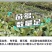 出售番石榴果苗，白珍珠品种，四五千袋，期待与您合作