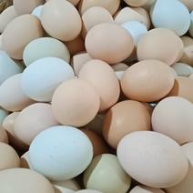 散养土鸡蛋