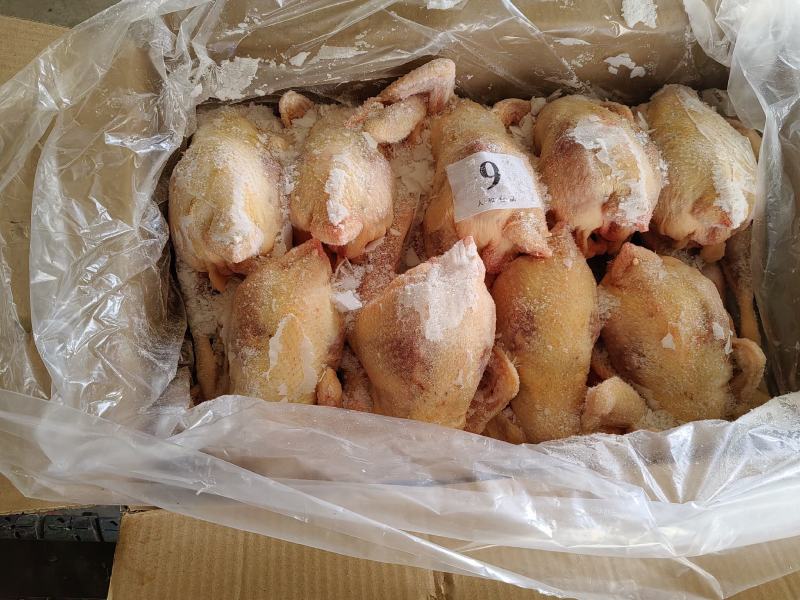 老母鸡白条