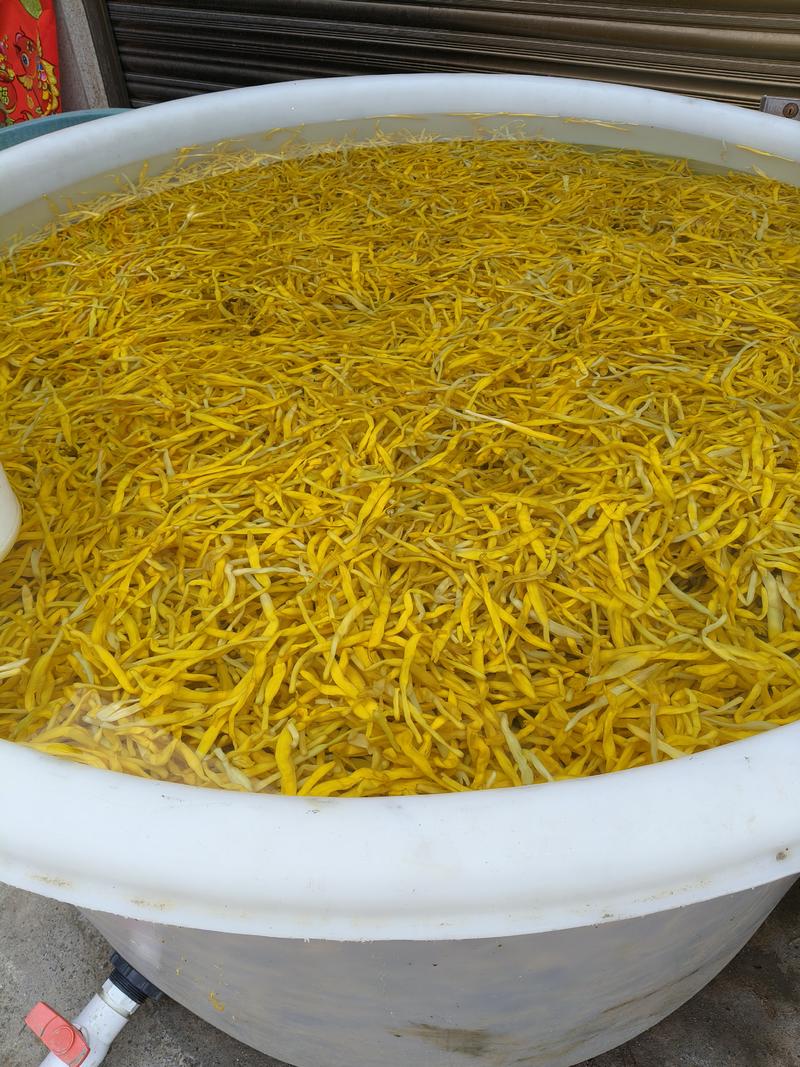 无硫清水黄花菜，可用于，麻辣烫，凉拌，火锅，钵钵鸡，冒菜