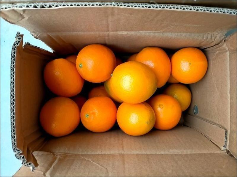 中华红血橙秭归新鲜橙子一件代发整车批发产地直发
