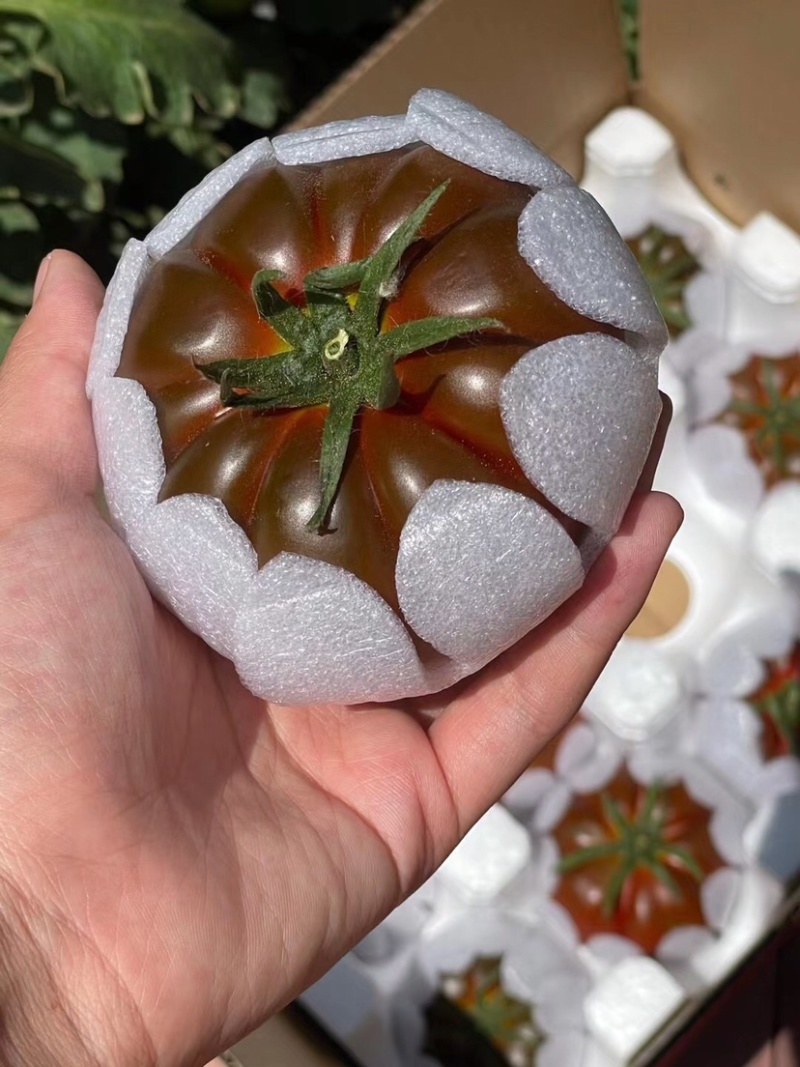马蹄番茄，直接打电话，平台无法聊天