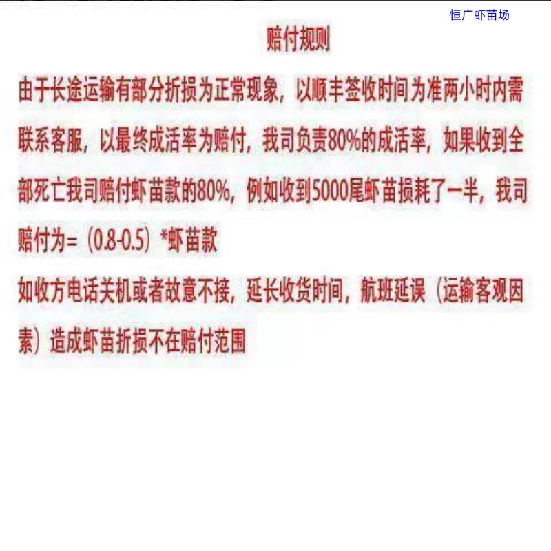 南美白对虾虾苗淡水虾苗一代快大虾苗养殖场直供技术指导
