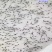 南美白对虾虾苗淡水虾苗一代快大虾苗养殖场直供技术指导