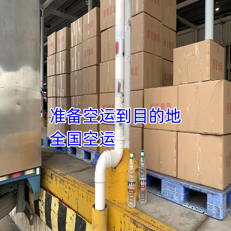 南美白对虾虾苗淡水虾苗一代快大虾苗养殖场直供技术指导
