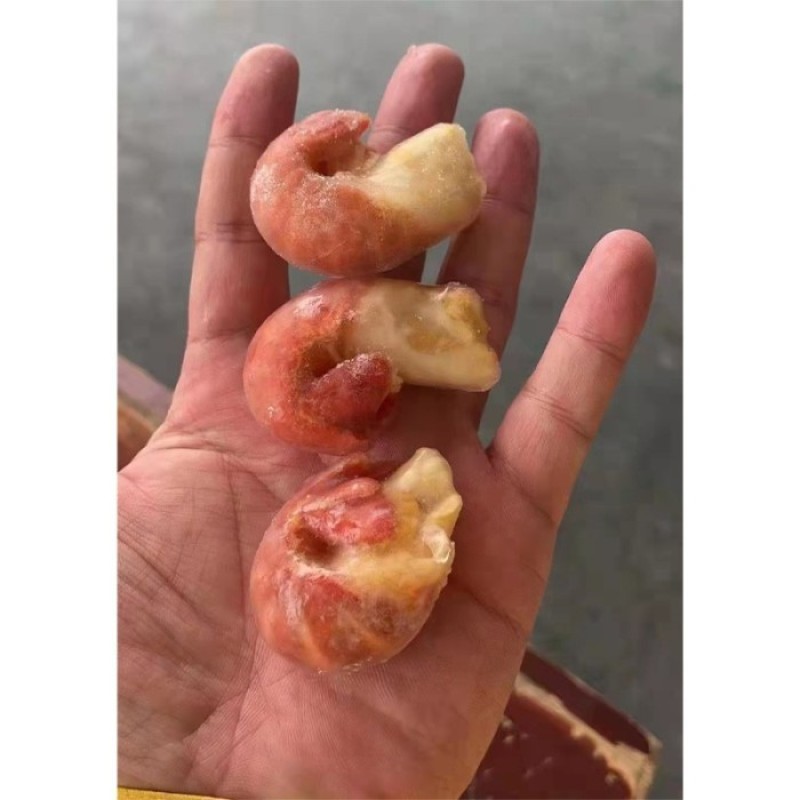 特级虾尾