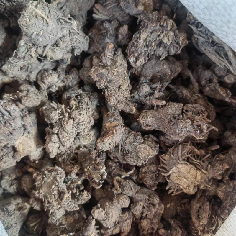 现货现发，家种，野生带珠砂点苍术