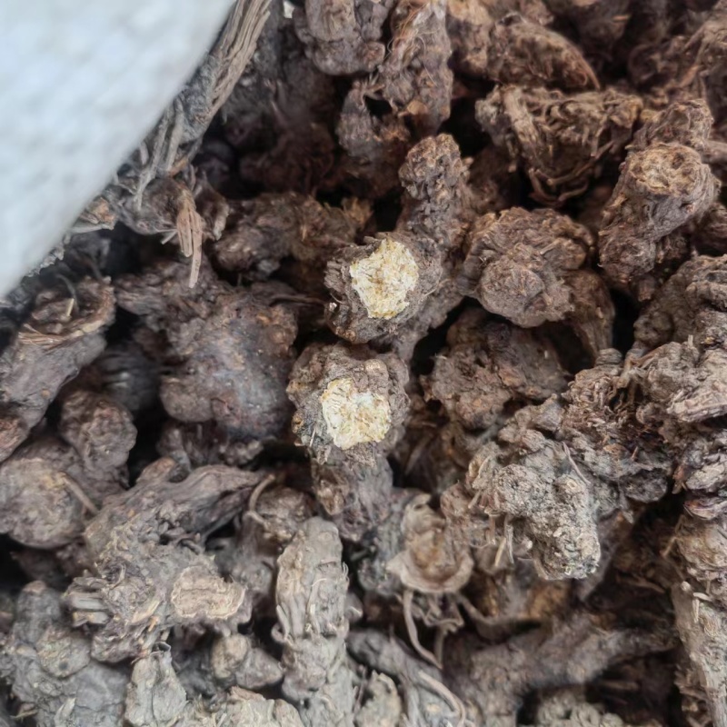 现货现发，家种，野生带珠砂点苍术