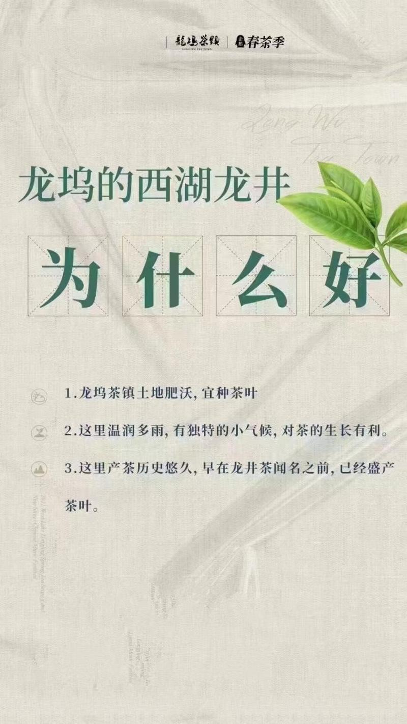 【推荐】杭州西湖精品西湖龙井茶，千顷茶园，品质保证