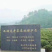 【推荐】杭州西湖精品西湖龙井茶，千顷茶园，品质保证