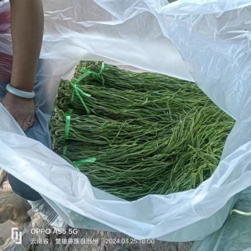 云南贡菜！贡菜统货！颜色如图！货真价宜！