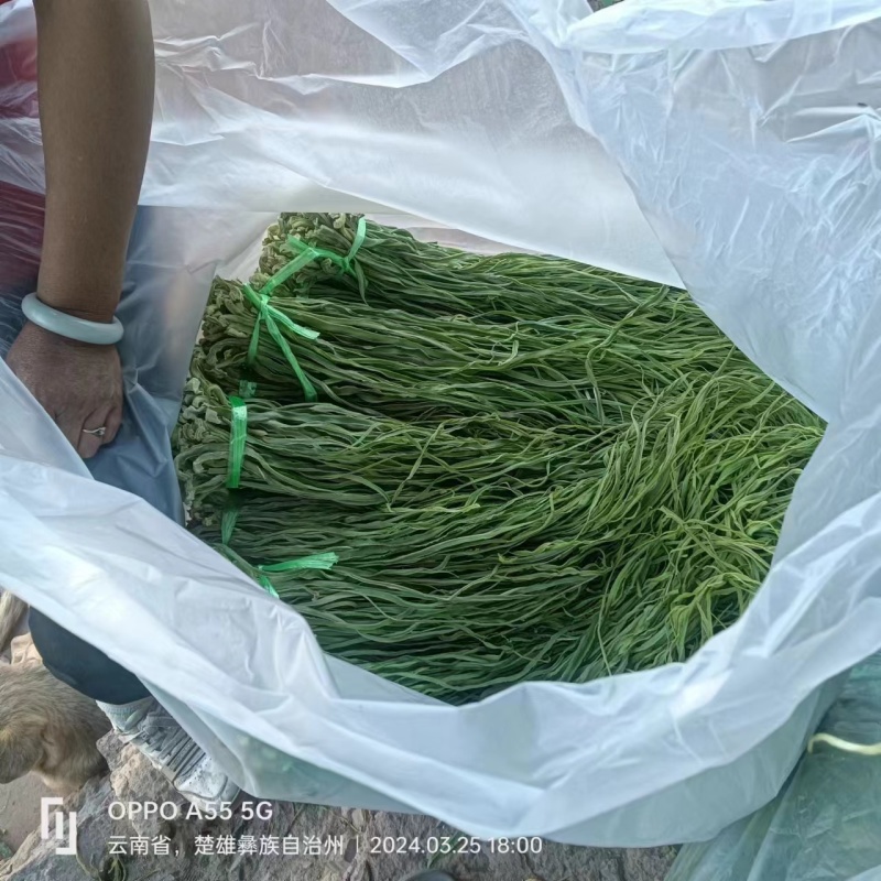 云南贡菜！贡菜统货！颜色如图！货真价宜！
