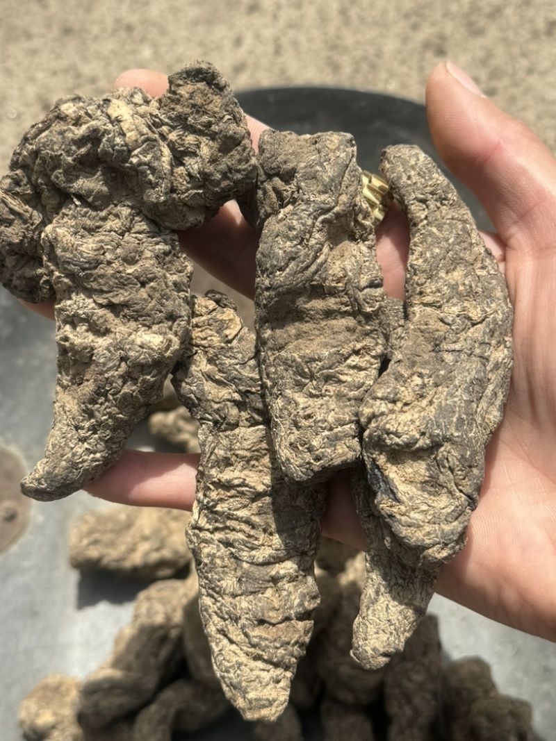 生地无硫生地个生地黄个生地片有个有片生地黄片实拍