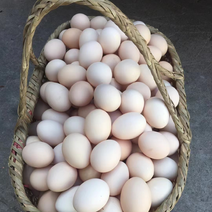 桂林土鸡蛋