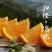 湖北秭归《精品《伦晚鲜橙,纯甜无酸,水分充足,保质保量,