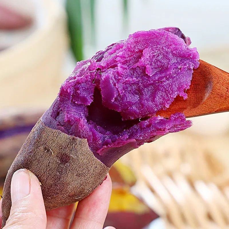 【小花叶紫薯】软糯香甜品质保证视频验货广东产地直发