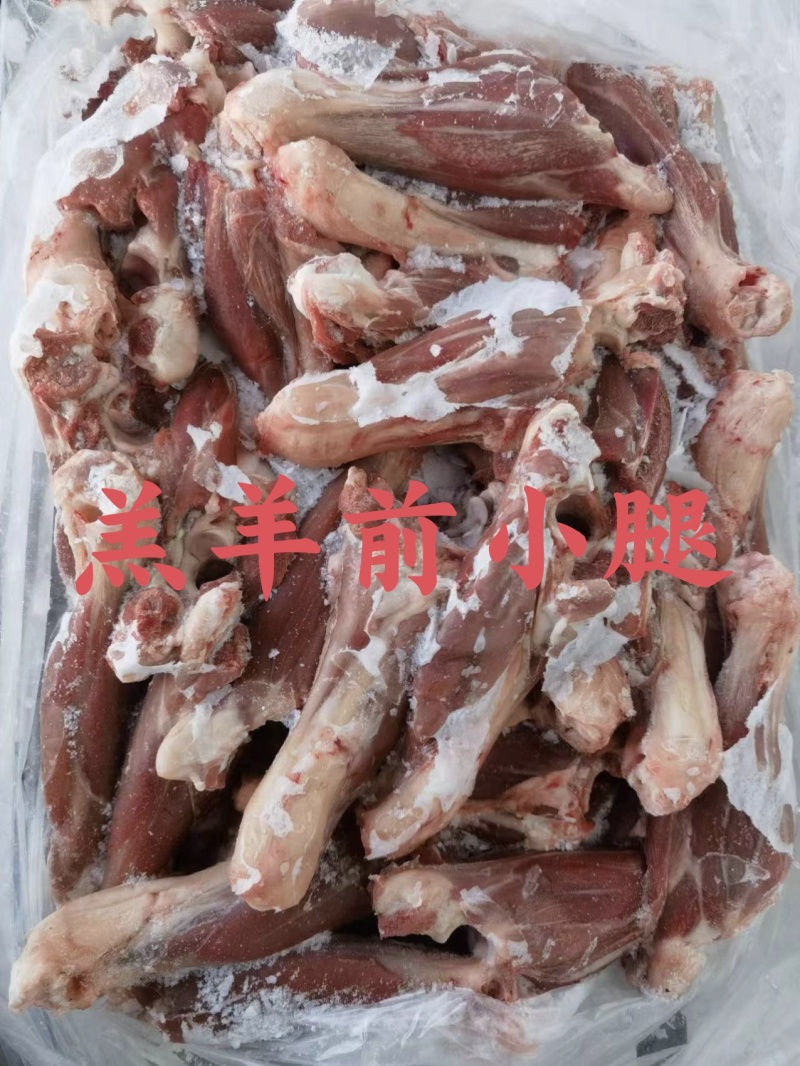 【羔羊前小腿】当地草地羊的鲜冻！单个半斤左右！屠宰场直销
