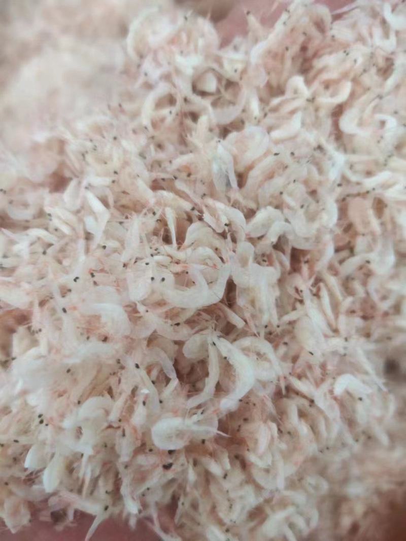 山东滨州虾皮货源充足，全国发货