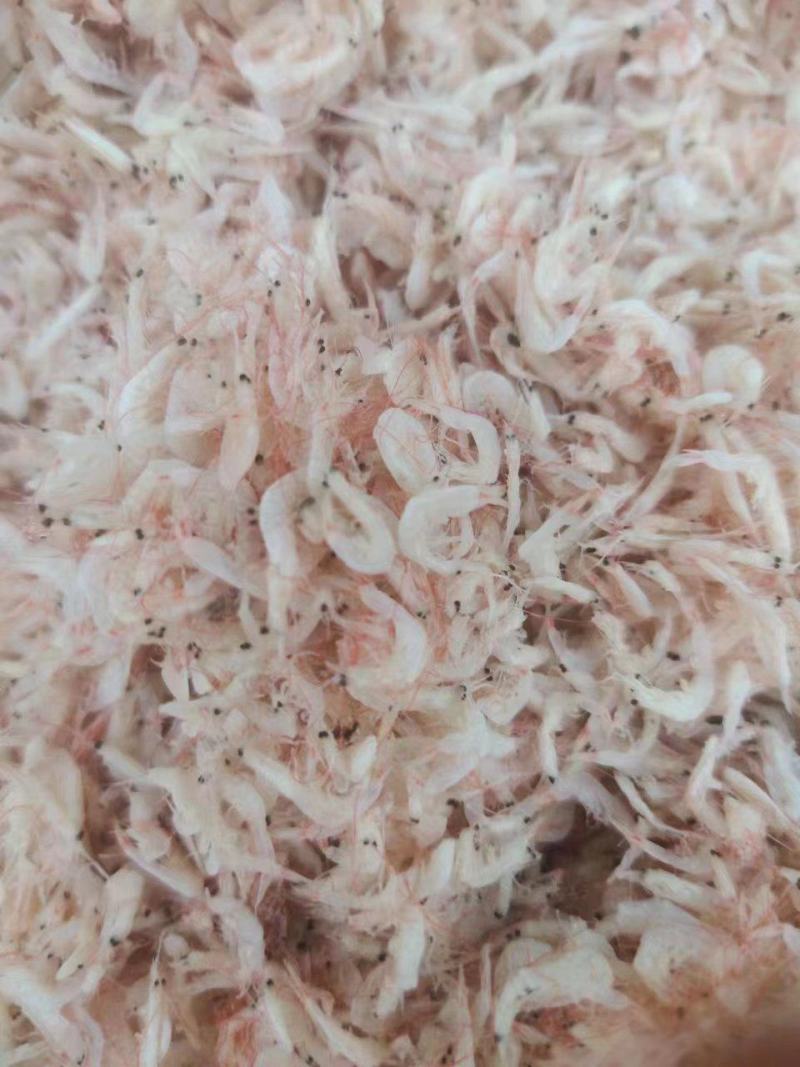 山东滨州虾皮货源充足，全国发货