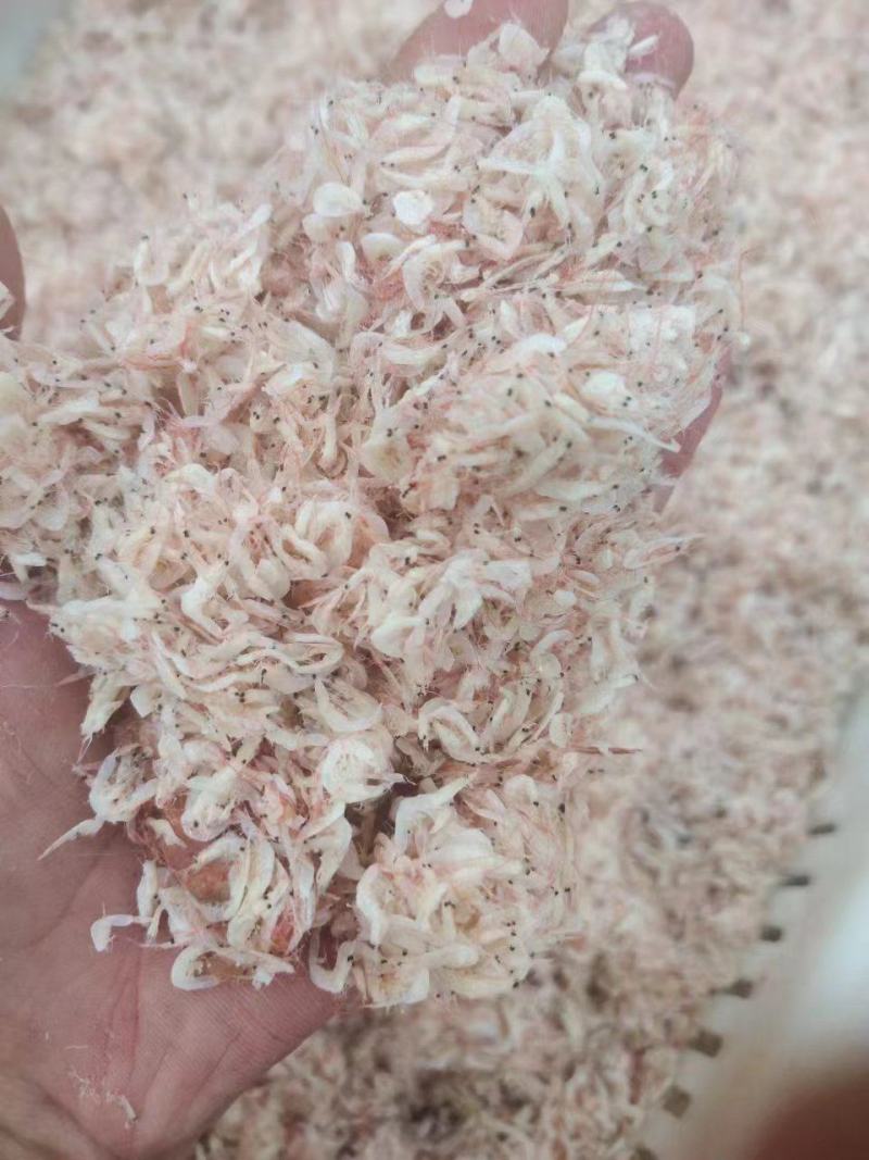 山东滨州虾皮货源充足，全国发货
