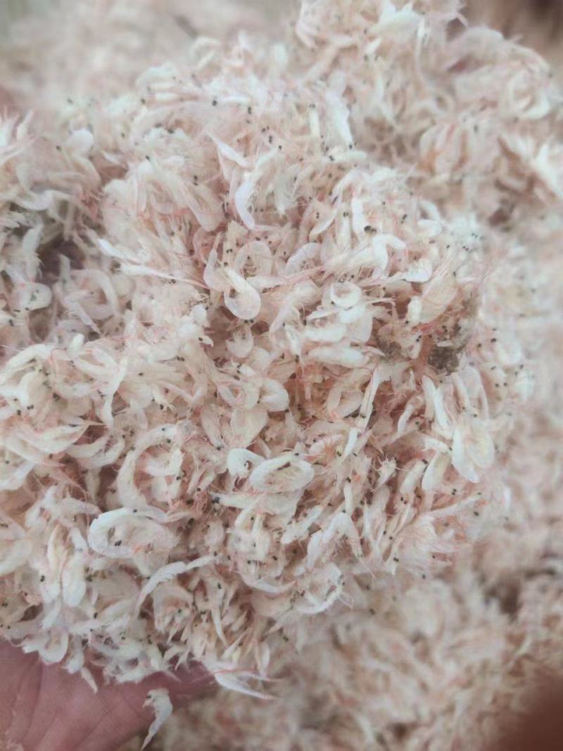 山东滨州虾皮货源充足，全国发货