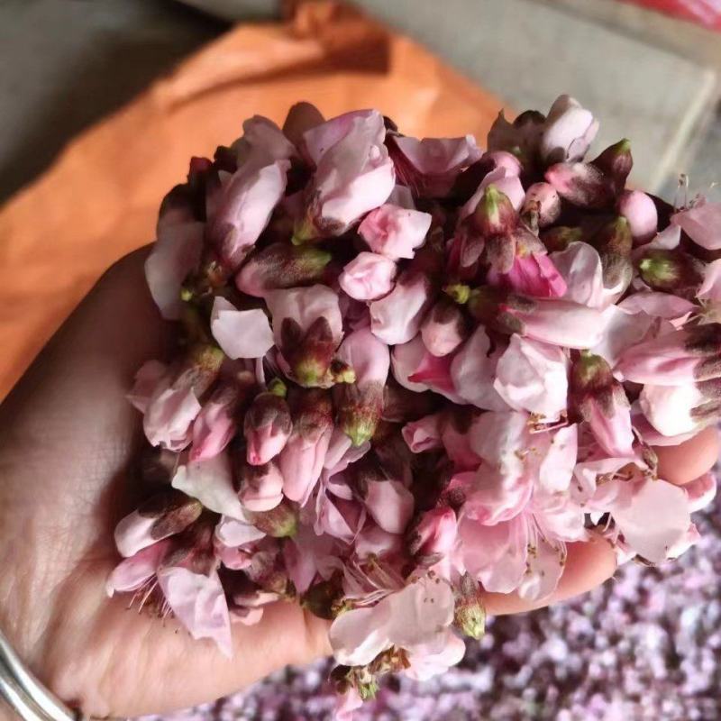 山东蒙阴桃花需要烤桃花的老板欢迎联系量大从优