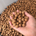 【毛桃核】【山桃核】货量大质量好多年经营保质保量长期供应