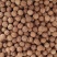 【毛桃核】【山桃核】货量大质量好多年经营保质保量长期供应