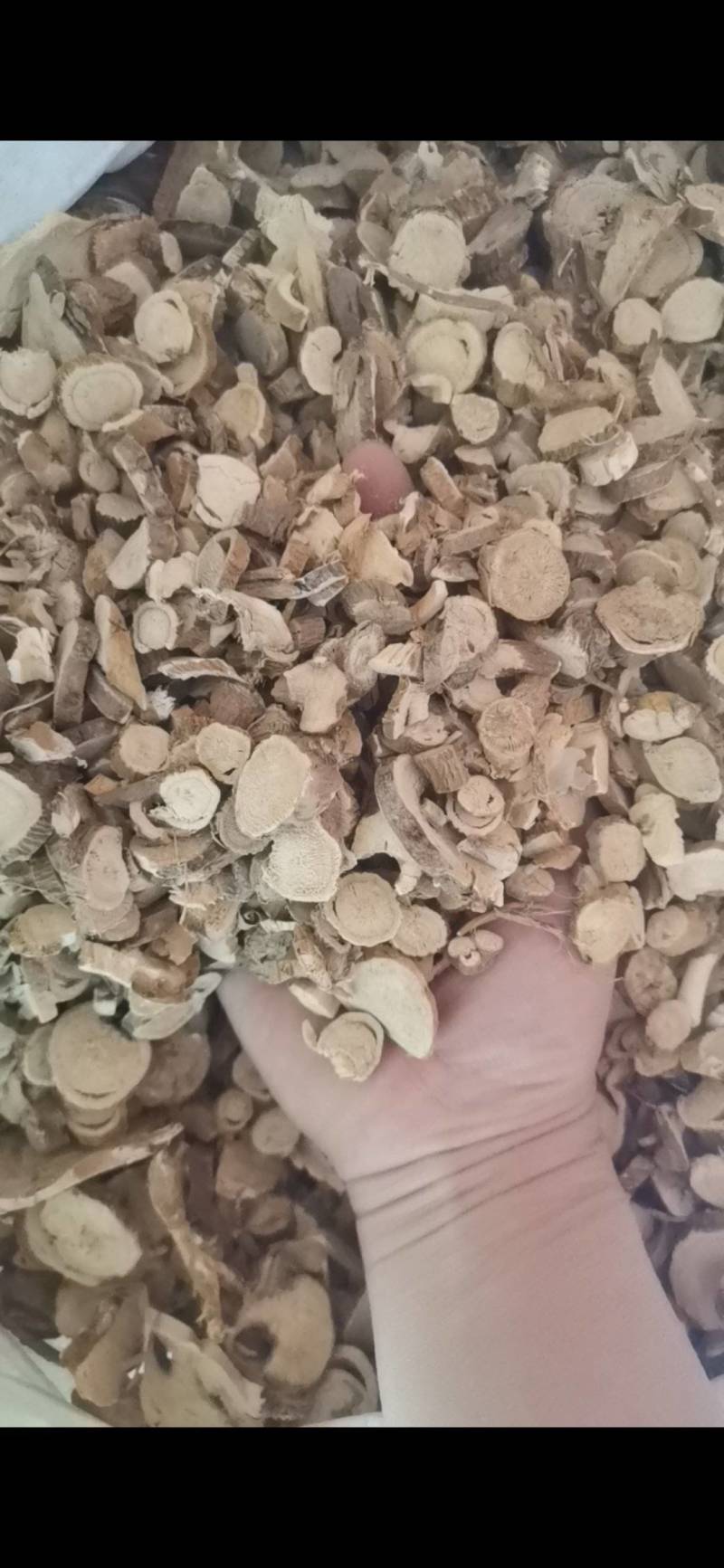 苦参中药材野生苦参片正品无硫苦参精选根部切片苦参干片包邮
