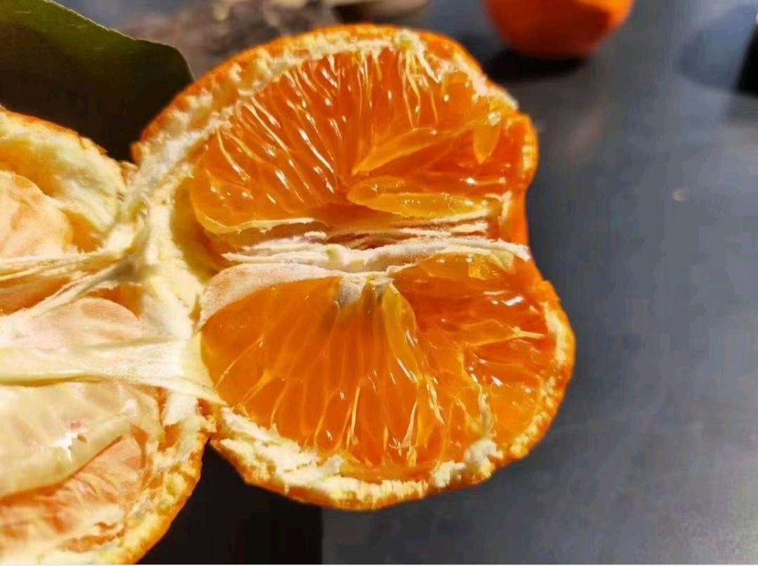 明日见柑桔销售场景