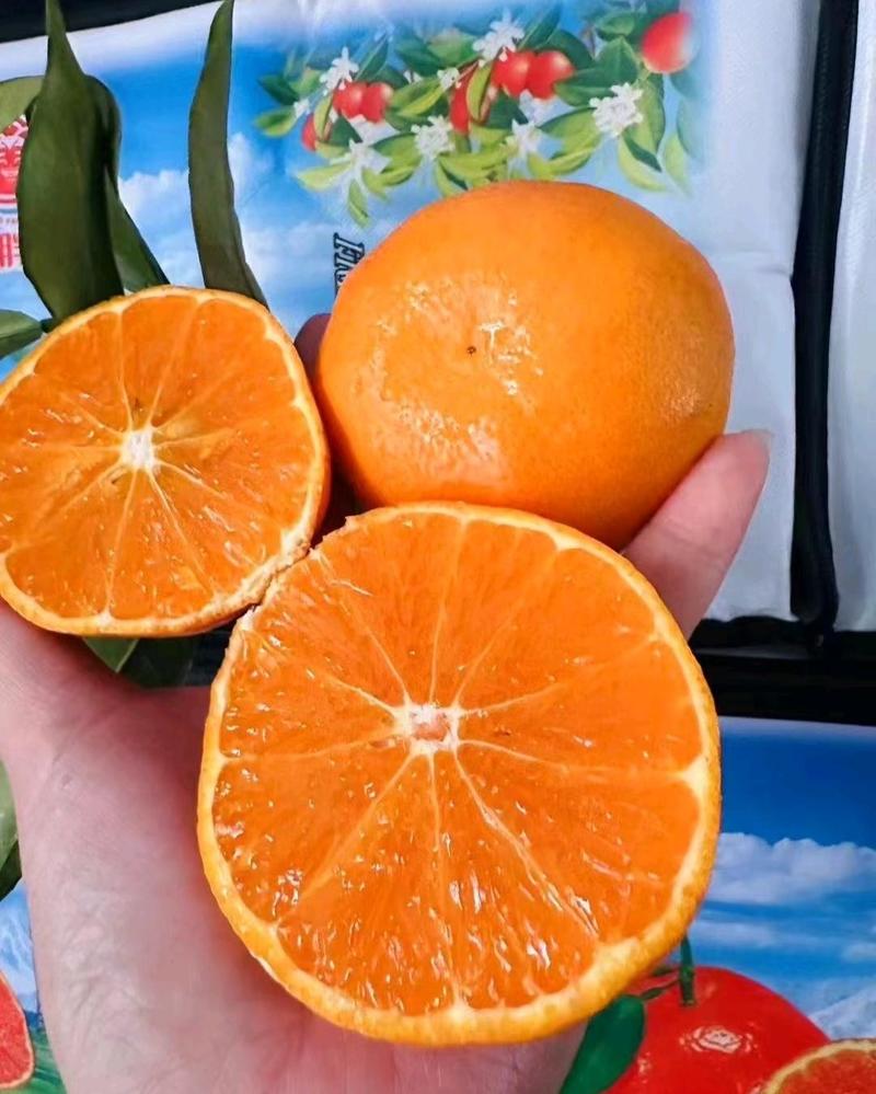 明日见柑橘大量供应，四川仁寿产地直发，量大从优价格美丽