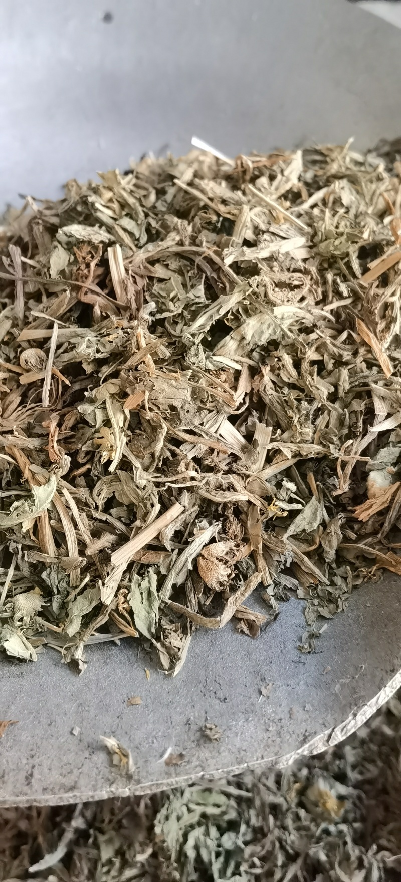 【蒲公英】1000克实物拍摄批发供应中药材