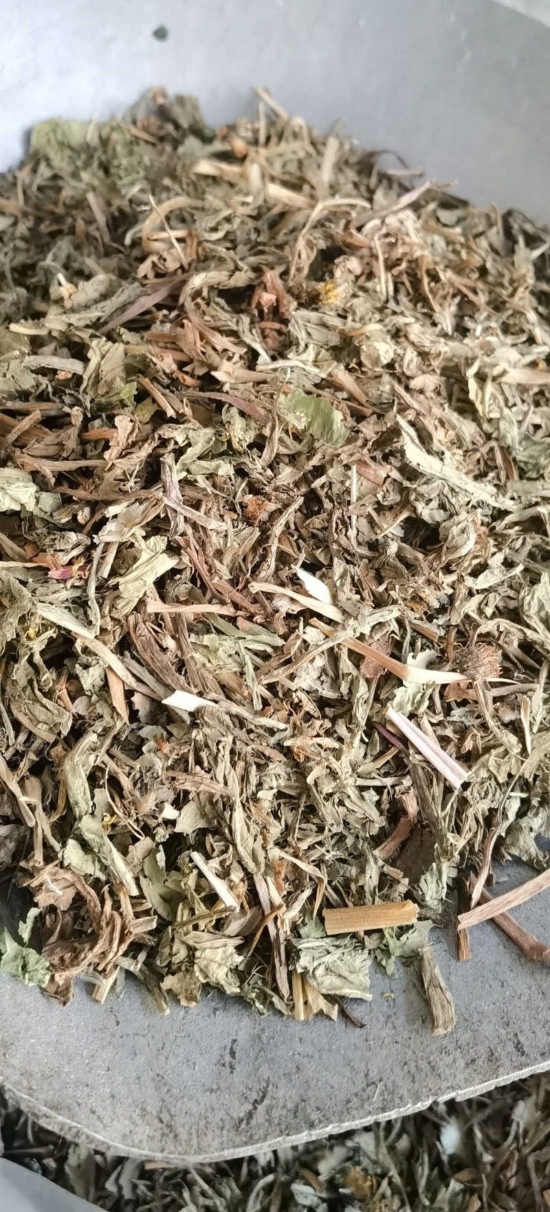 【蒲公英】1000克实物拍摄批发供应中药材