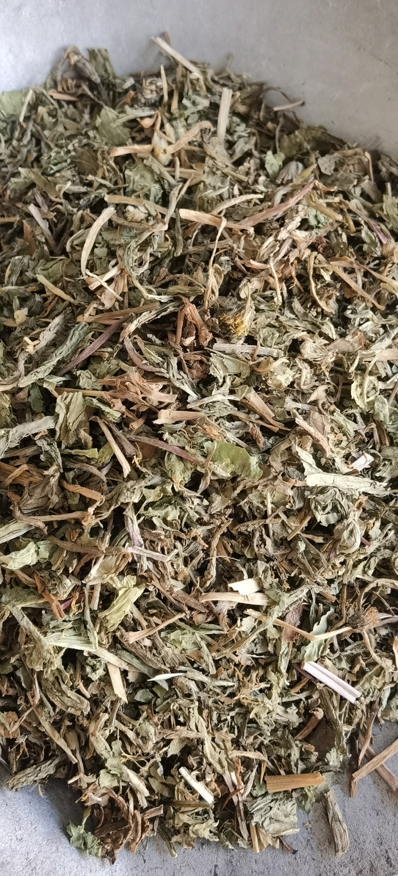 【蒲公英】1000克实物拍摄批发供应中药材
