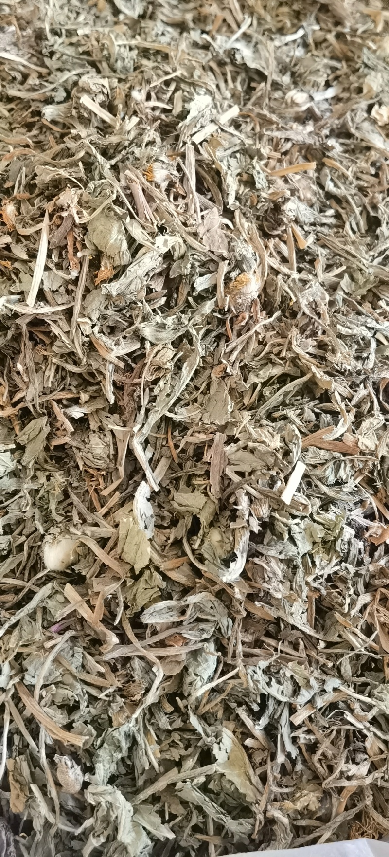 【蒲公英】1000克实物拍摄批发供应中药材