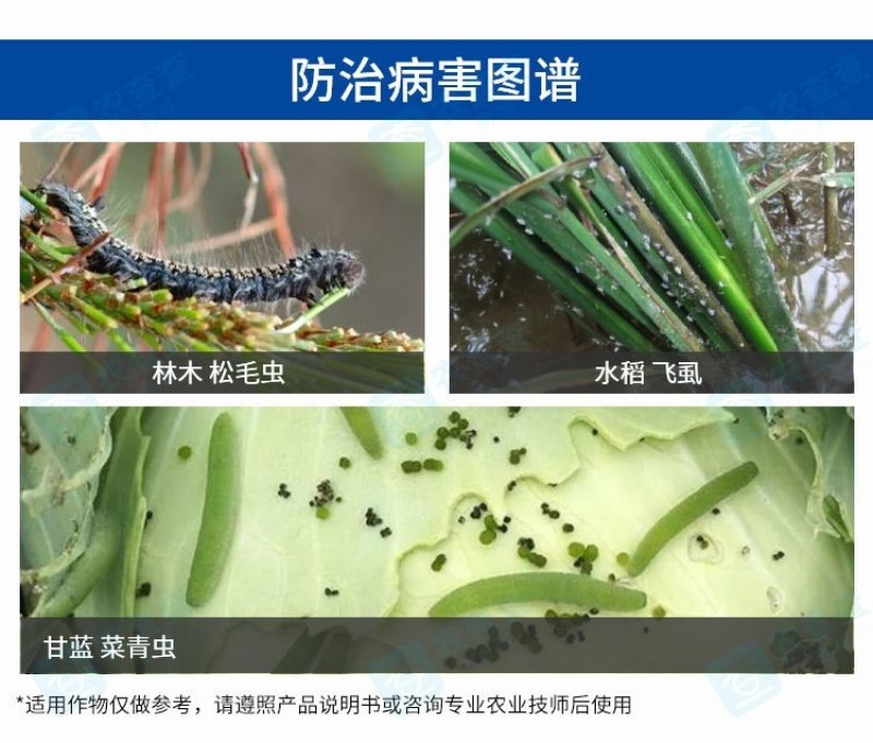 多来宝10%醚菊酯悬浮杀虫剂农药蓟马白粉虱小菜蛾烟蚜虫