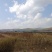 富民县城坝子3000多亩田地出租，花卉和蔬菜，可长期租赁