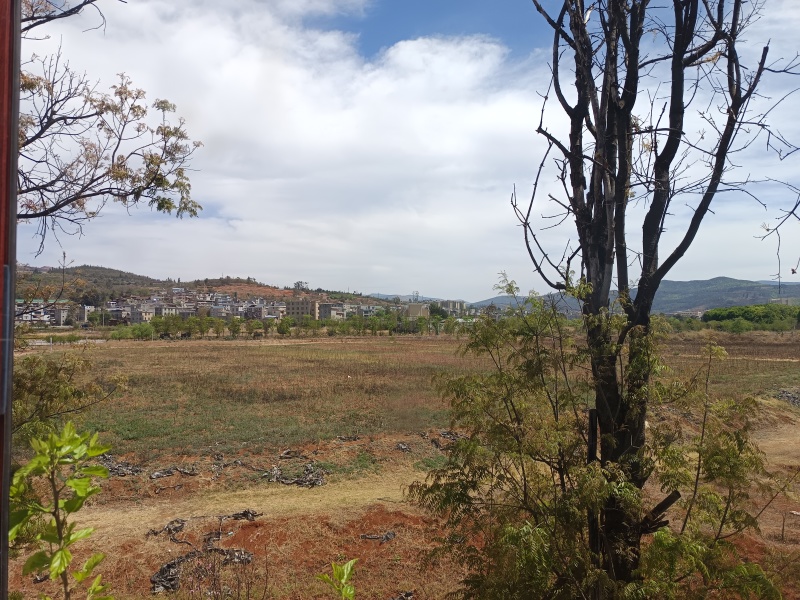 富民县城坝子3000多亩田地出租，花卉和蔬菜，可长期租赁