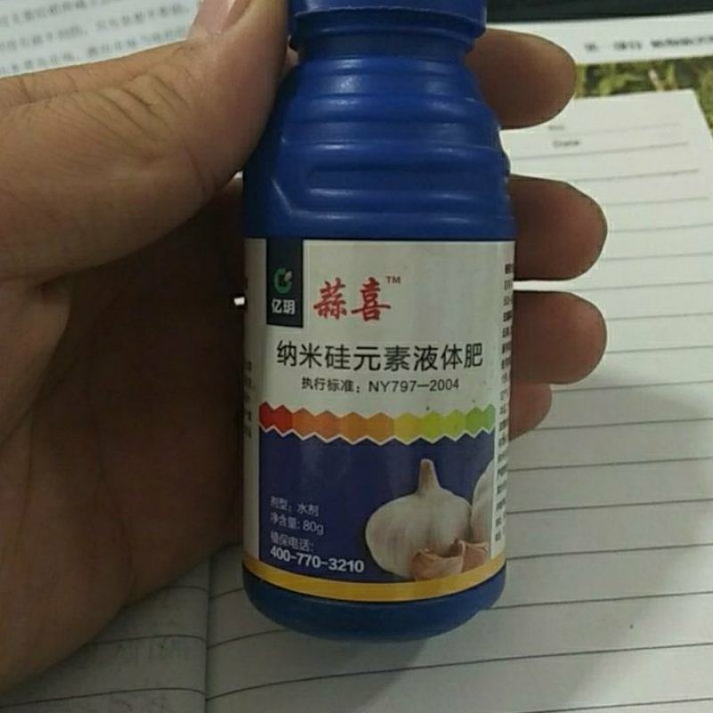 蒜喜抗重茬控旺膨大提前10天上市抗旱抗涝