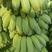无籽金粉，小米蕉口感香甜产地直发一手货源质量保证。