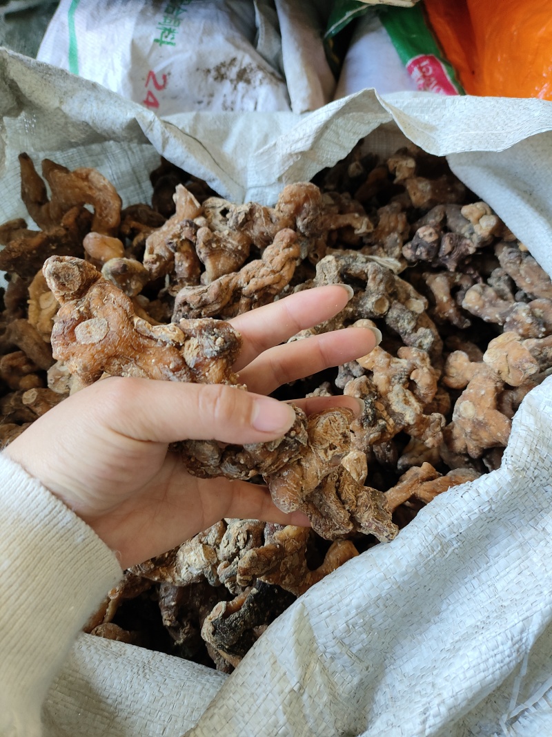 黄精，产地四川宜宾姜形多花，甜黄精，产地直销可线下考察