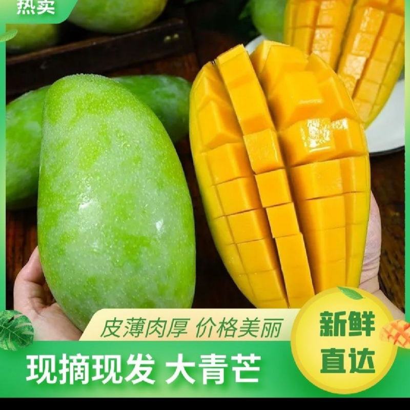 广西百色大金煌芒精品货一手货源可视频看货基地直发保质保量