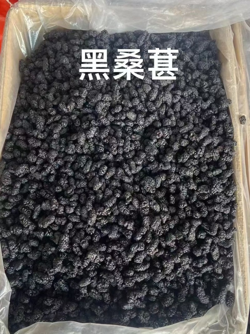 桑葚桑葚干保庆药业批发桑葚中药材实物拍摄各种规格