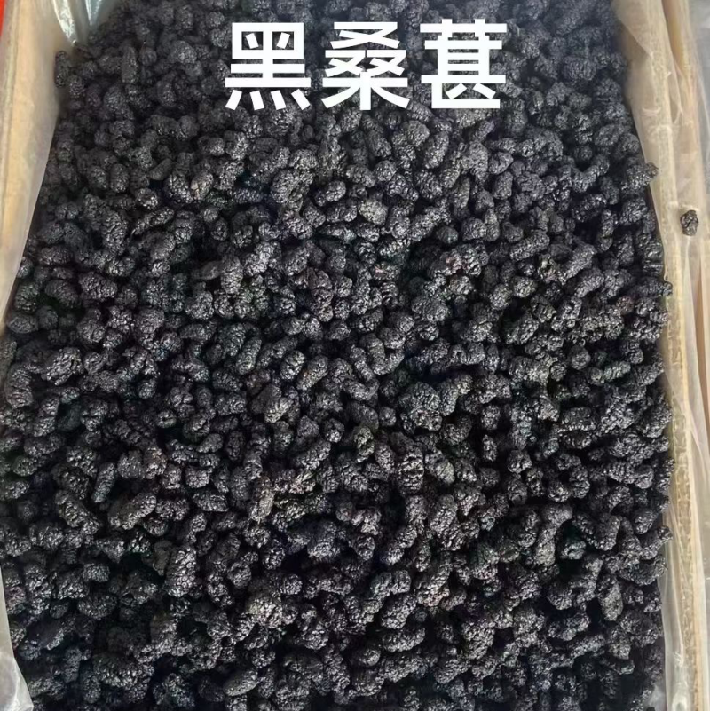 桑葚桑葚干保庆药业批发桑葚中药材实物拍摄各种规格