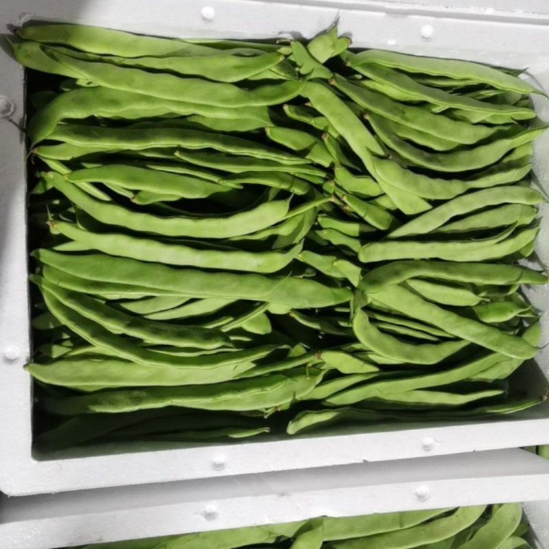 大扁豆，大量上市！支持代发市场，平台，社区团购，食堂！！