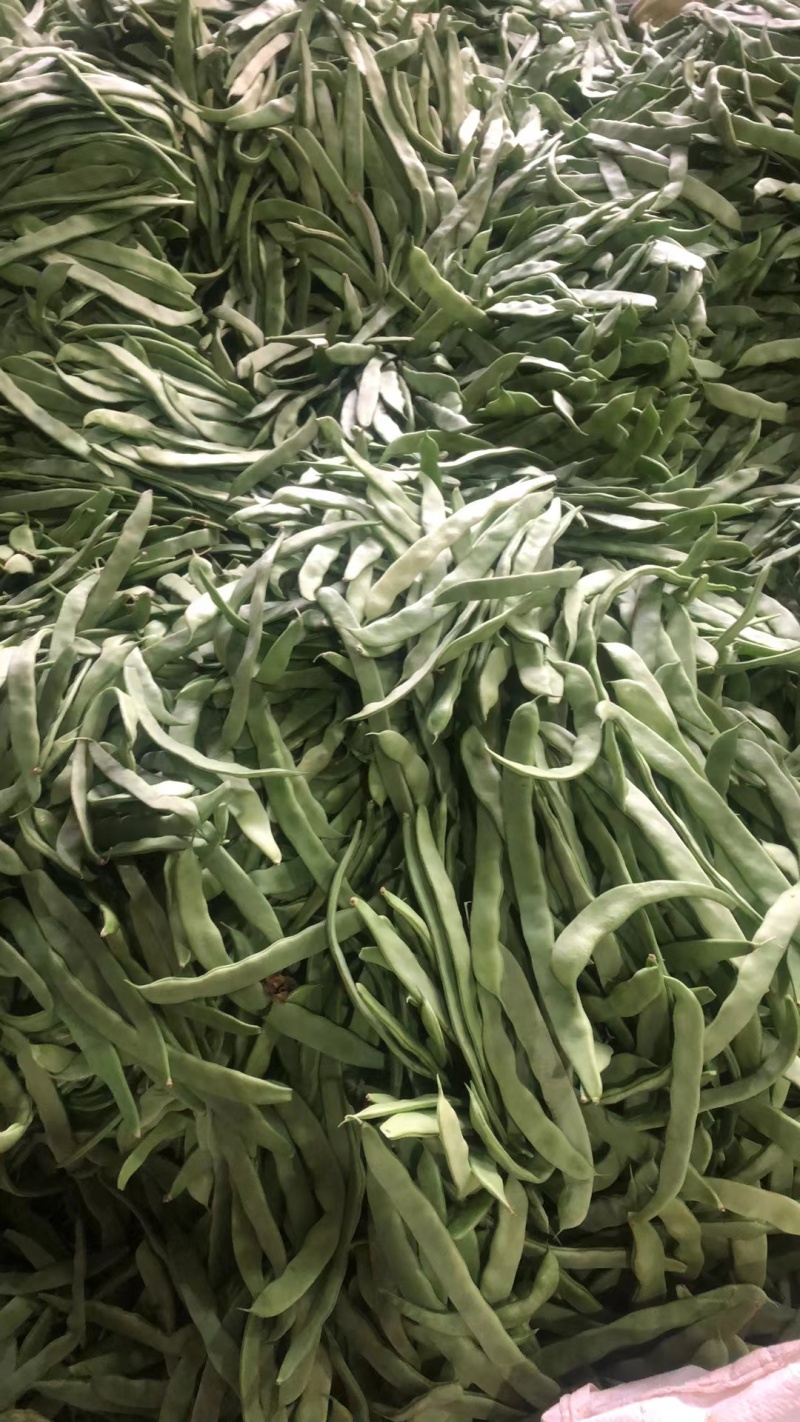 大扁豆，大量上市！支持代发市场，平台，社区团购，食堂！！